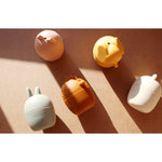 Silicone Animal - Mold Free -Bath Toy Set