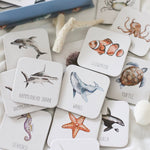 Ocean Memory Card Game