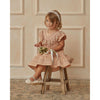 Noralee Goldie Dress | Dusty Rose Happy Monkey Baby & Kids